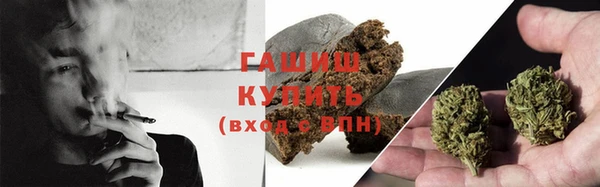 крисы Ельня