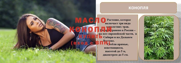 спиды Елизово